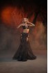 Professional bellydance costume (Classic 410A_1)